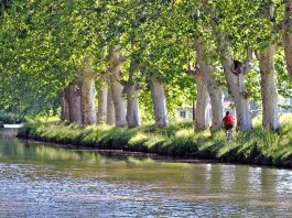 Canal du midi